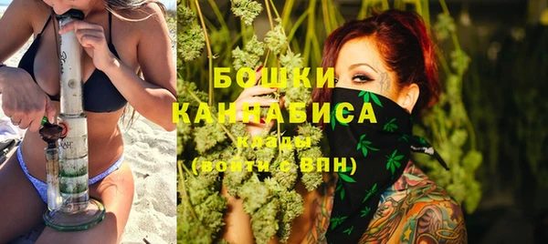 хмурый Бронницы