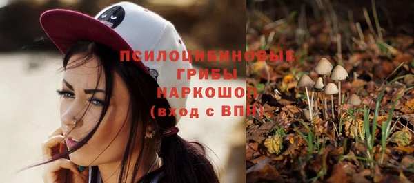 скорость Богданович